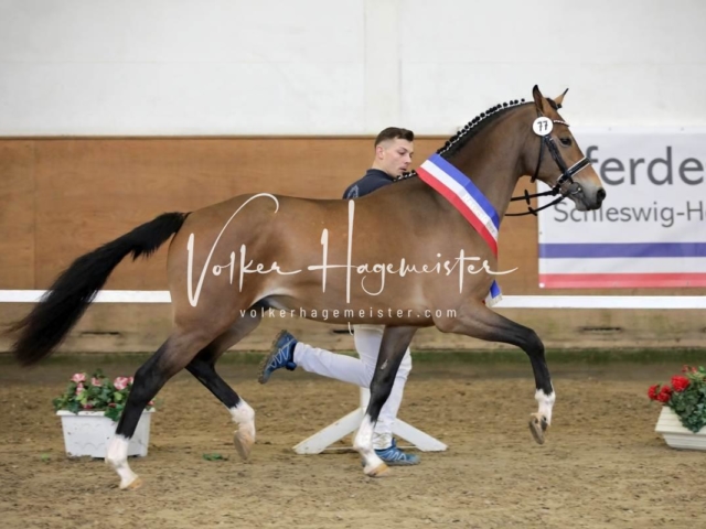 PSB Sieger und Impressionen 9