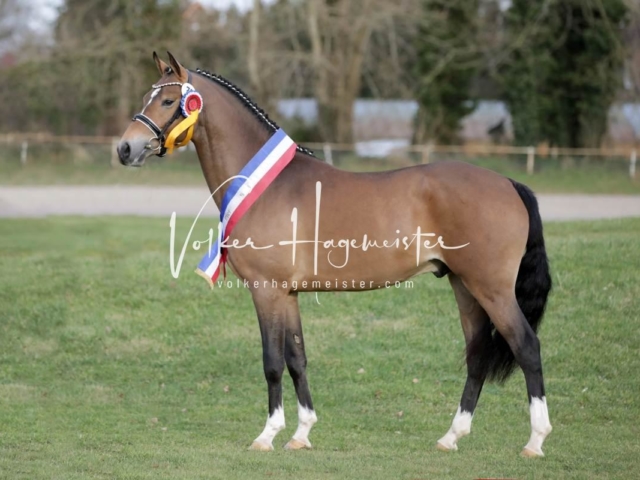 PSB Sieger und Impressionen 10