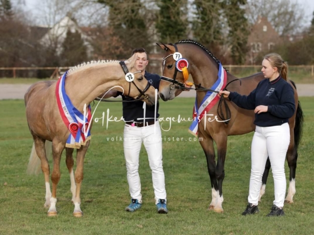 PSB Sieger und Impressionen 13