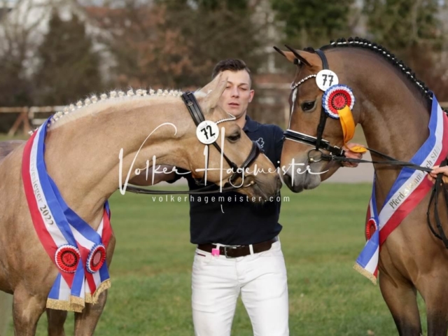 PSB Sieger und Impressionen 14