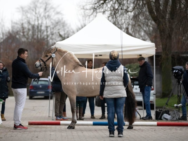 PSB Körung Freitag 18