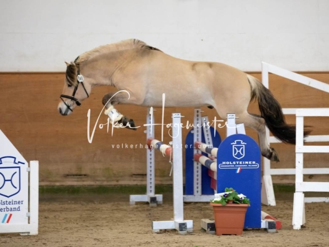 PSB Körung Freitag 20