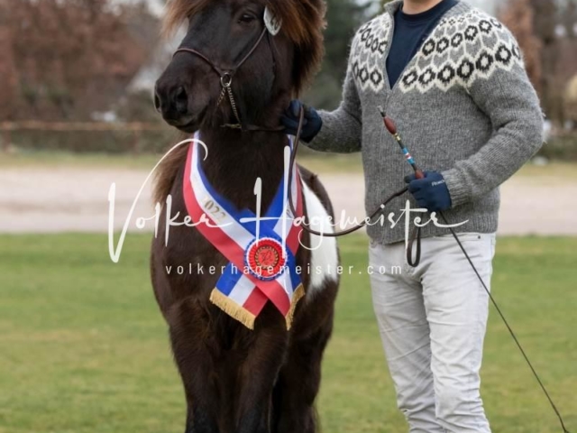 PSB Sieger und Impressionen 15