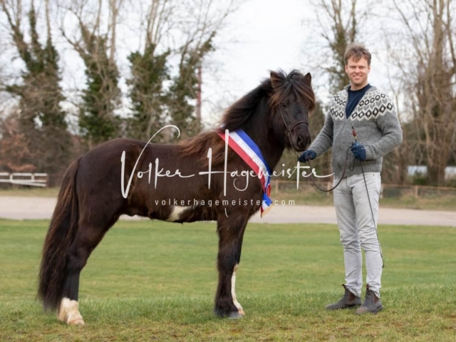 PSB Sieger und Impressionen 16