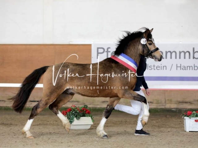 PSB Sieger und Impressionen 17