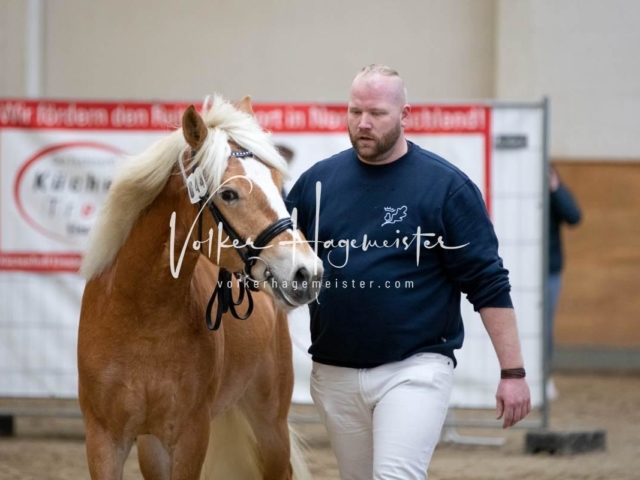 PSB Körung Freitag 22