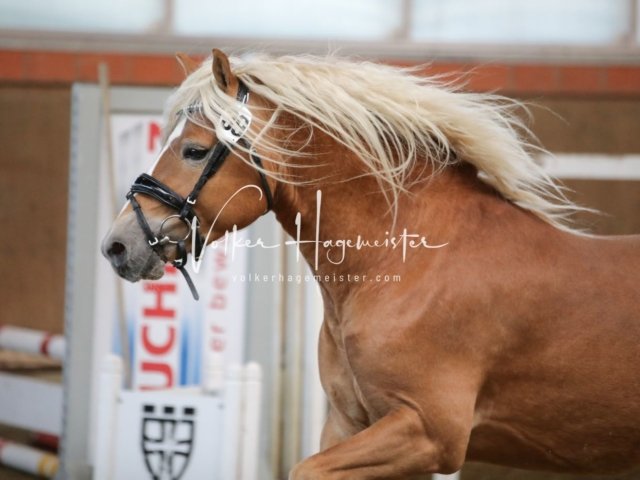 Luhmühlen Samstag 14