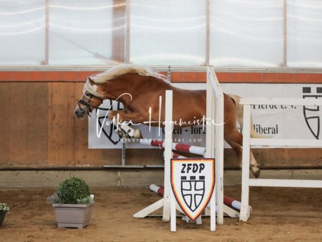 Luhmühlen Samstag 15