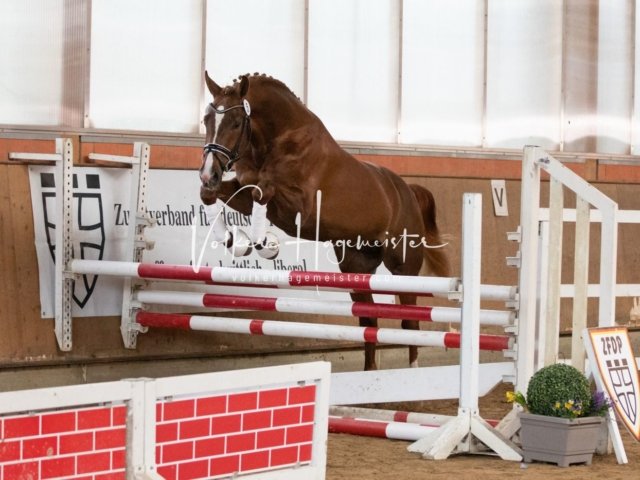 Luhmühlen Freitag 18