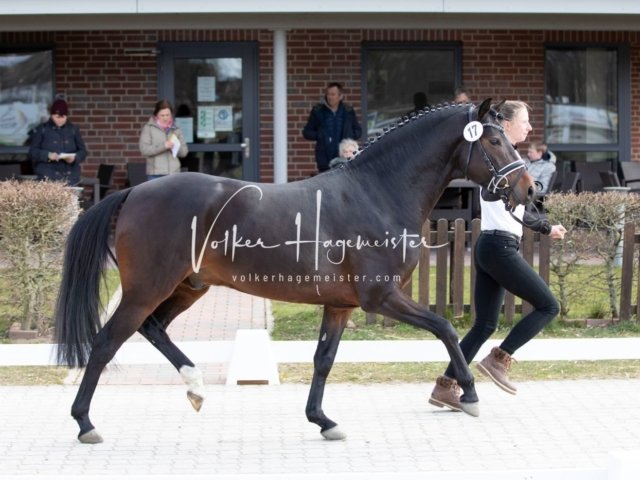 Luhmühlen Samstag 2