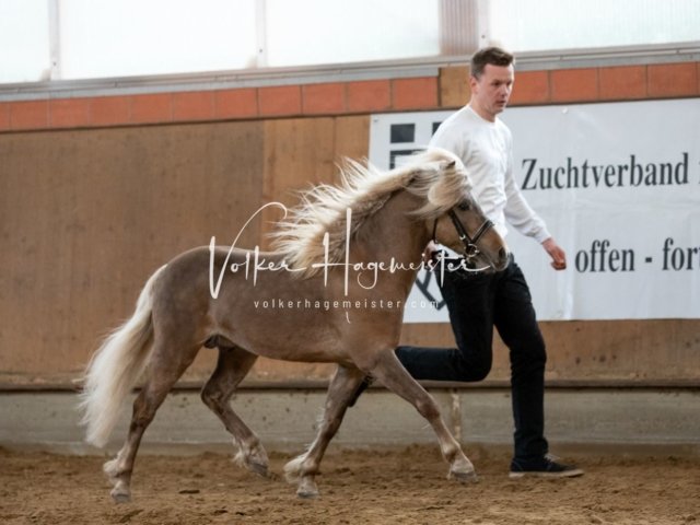 Luhmühlen Samstag 6