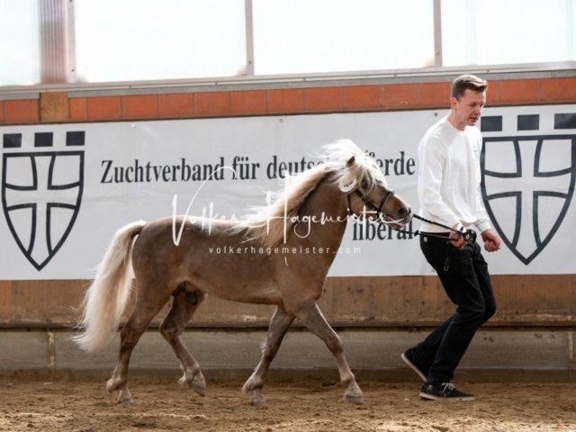 Luhmühlen Samstag 8