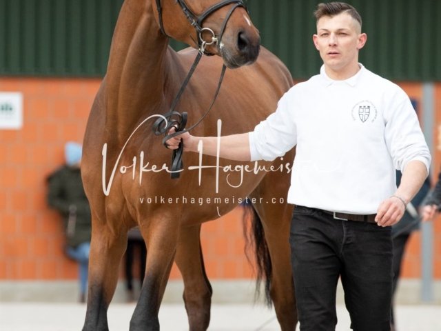 Luhmühlen Freitag 8