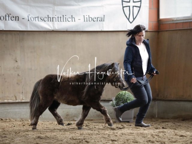 Luhmühlen Samstag 14