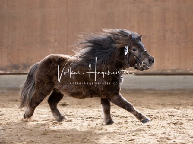 Luhmühlen Samstag 17