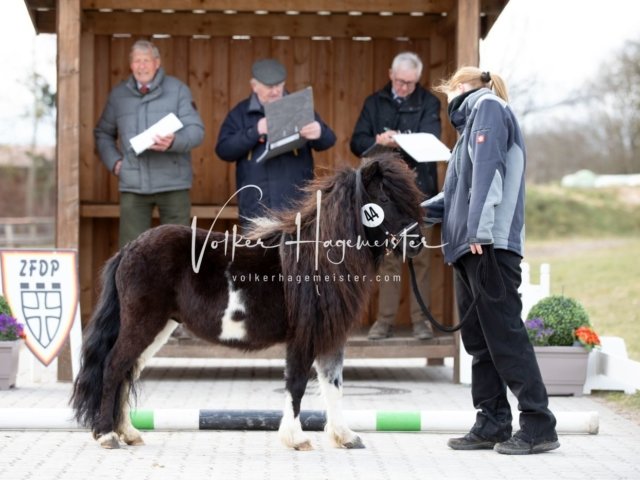 Luhmühlen Samstag 21