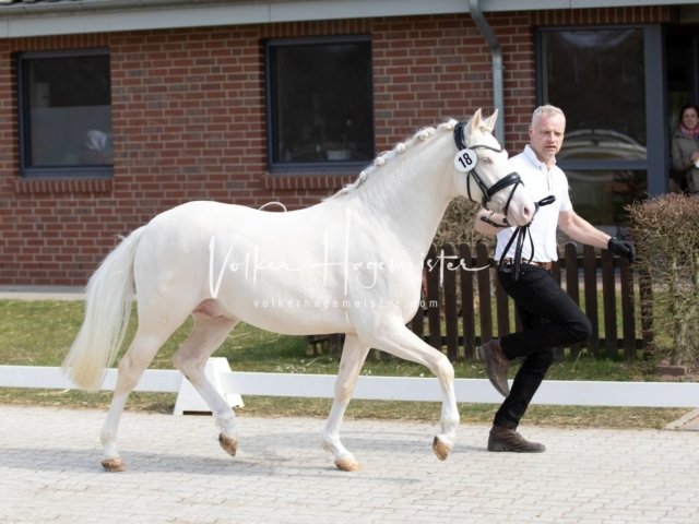 Luhmühlen Samstag 25