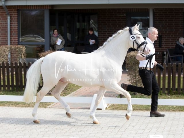 Luhmühlen Samstag 26