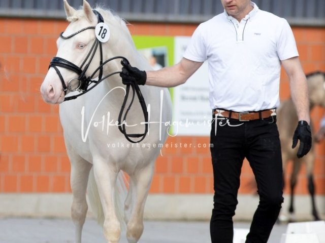 Luhmühlen Samstag 27