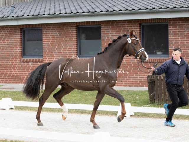 Luhmühlen Freitag 10