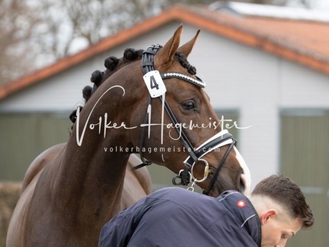 Luhmühlen Freitag 11