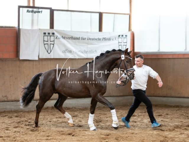 Luhmühlen Freitag 12