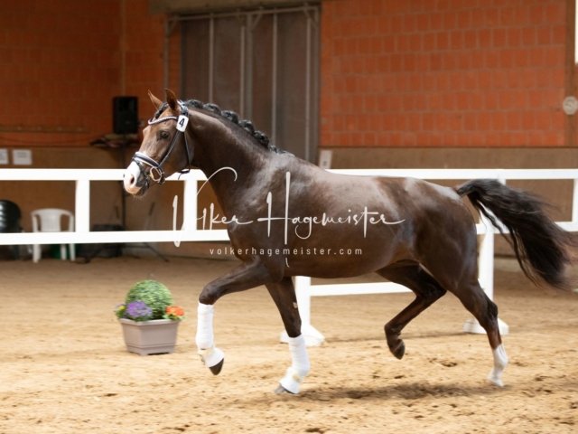 Luhmühlen Freitag 13