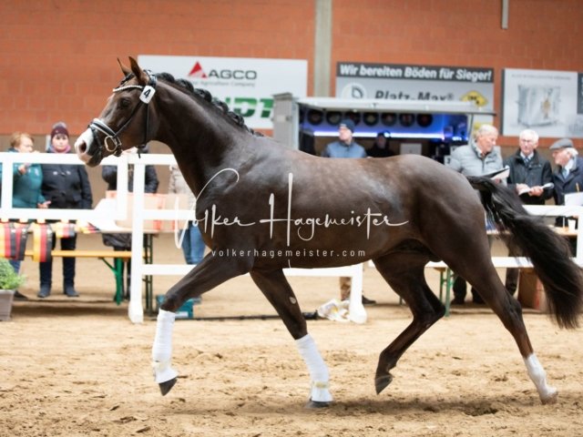 Luhmühlen Freitag 14