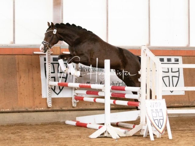 Luhmühlen Freitag 16