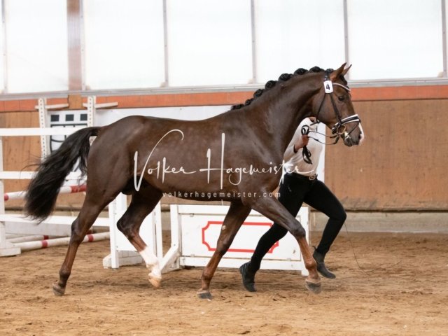 Luhmühlen Freitag 17