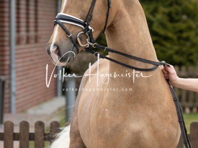 Luhmühlen Freitag 19