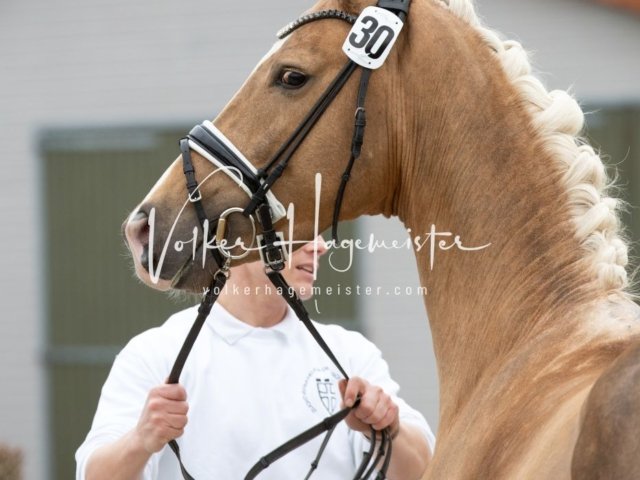 Luhmühlen Freitag 20