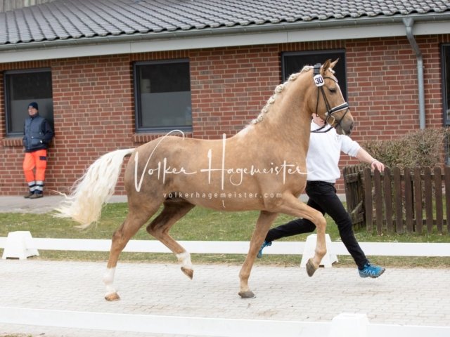 Luhmühlen Freitag 22