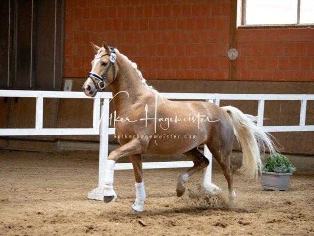 Luhmühlen Freitag 23