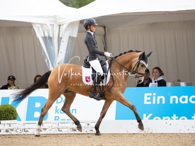 Hamburger Pony Dressur Derby 1