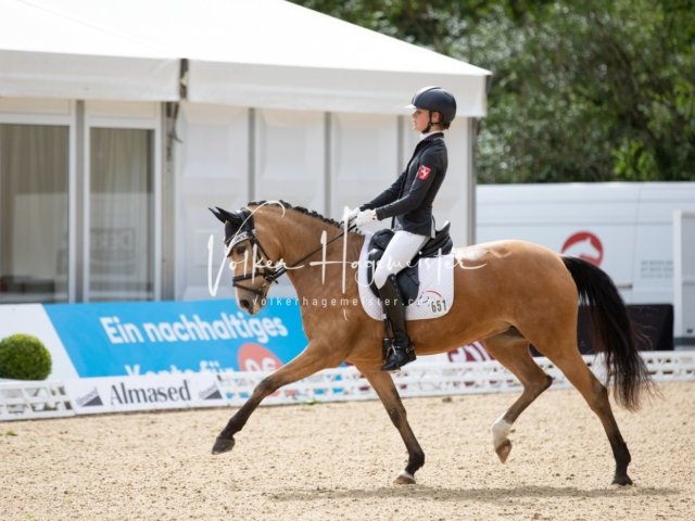Hamburger Pony Dressur Derby 2