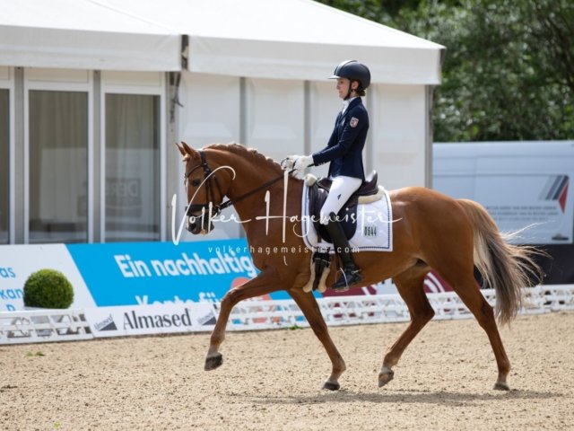 Hamburger Pony Dressur Derby 4