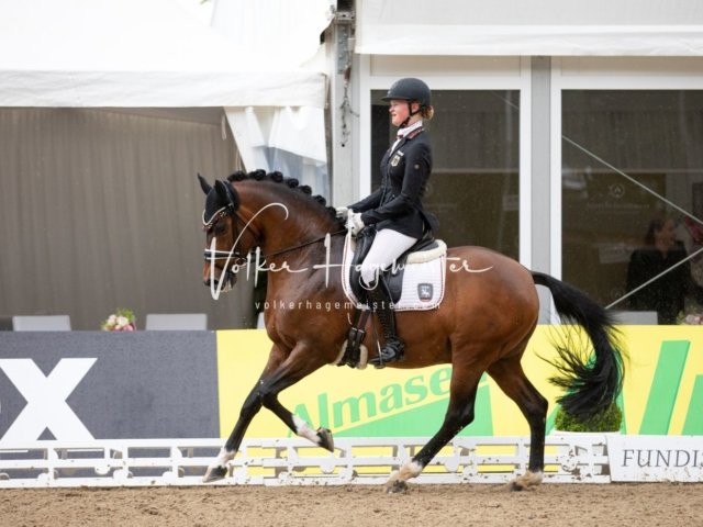 Hamburger Pony Dressur Derby 7