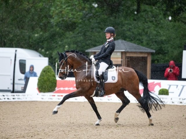 Hamburger Pony Dressur Derby 9