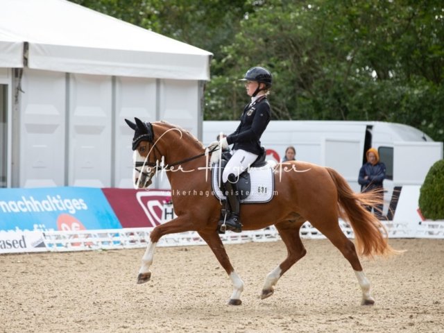 Hamburger Pony Dressur Derby 14