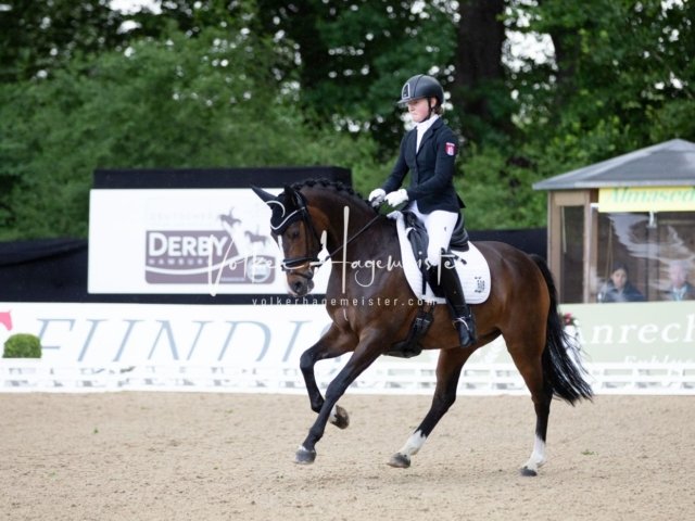 Hamburger Pony Dressur Derby 10