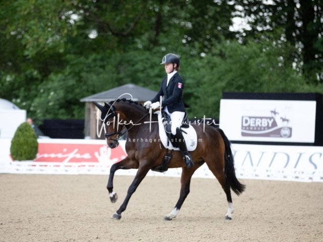 Hamburger Pony Dressur Derby 11