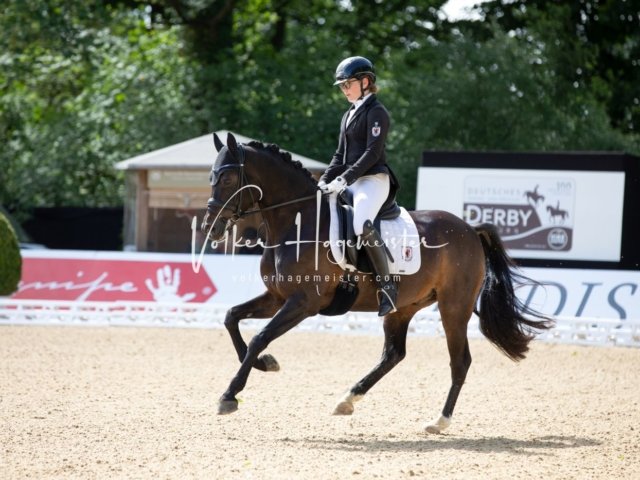 Hamburger Pony Dressur Derby 13