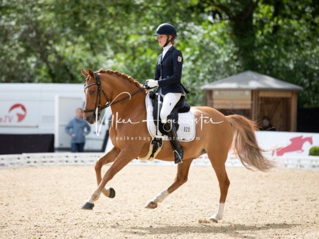 Hamburger Pony Dressur Derby 16