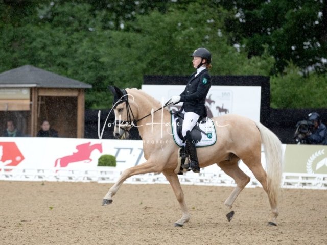 Hamburger Pony Dressur Derby 18