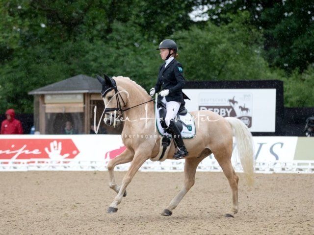 Hamburger Pony Dressur Derby 19