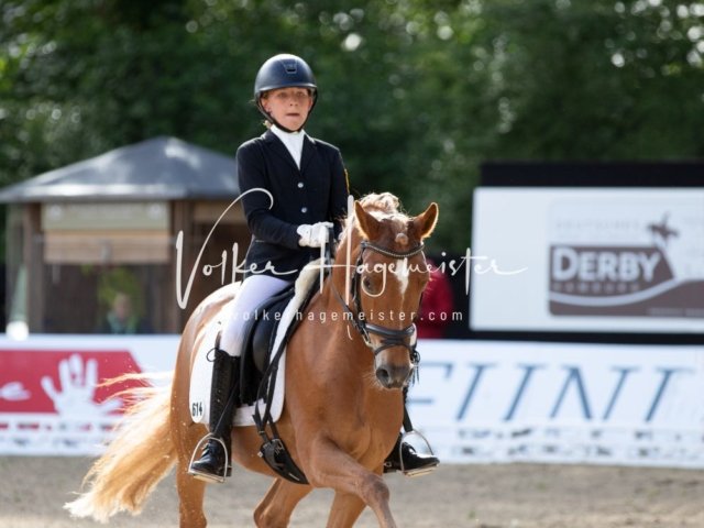 Hamburger Pony Dressur Derby 22
