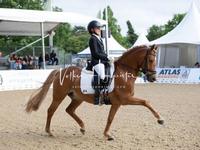 Hamburger Pony Dressur Derby 23