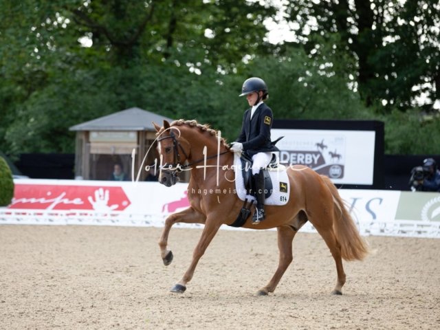 Hamburger Pony Dressur Derby 24