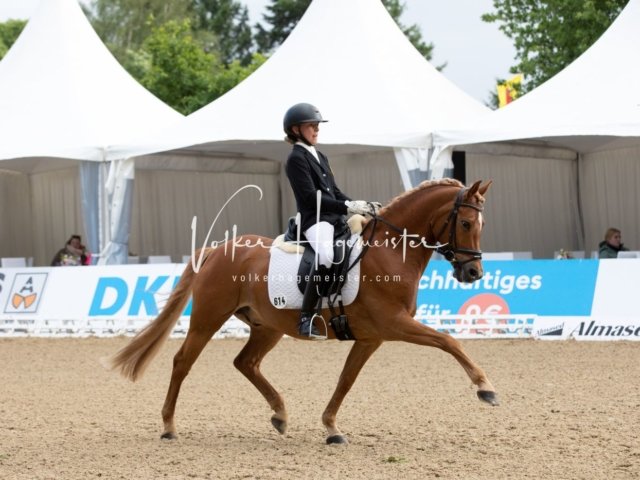 Hamburger Pony Dressur Derby 25